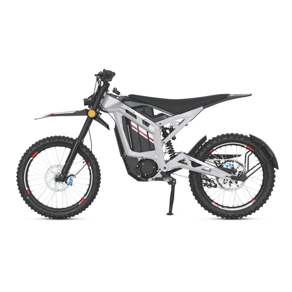 Electric motorcycle