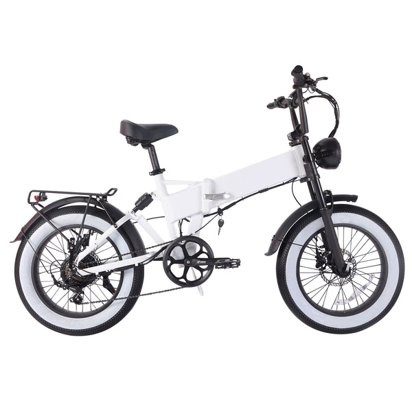 Foldable Electric Bike