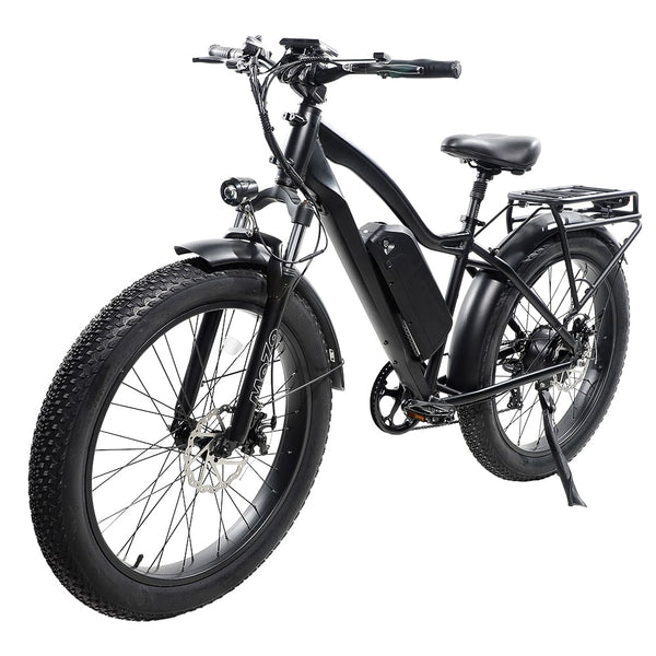 Fat Tire Bike