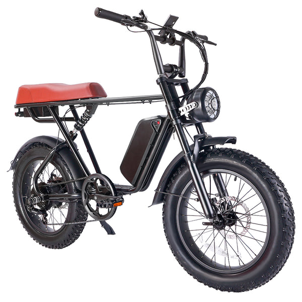 Fat Tire Electric Bike